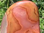 Polished Large Polychrome Jasper Standing Display Pieces x 2 From Androka, Madagascar - Toprock Gemstones and Minerals 