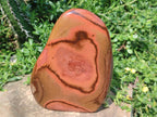 Polished Large Polychrome Jasper Standing Display Pieces x 2 From Androka, Madagascar - Toprock Gemstones and Minerals 