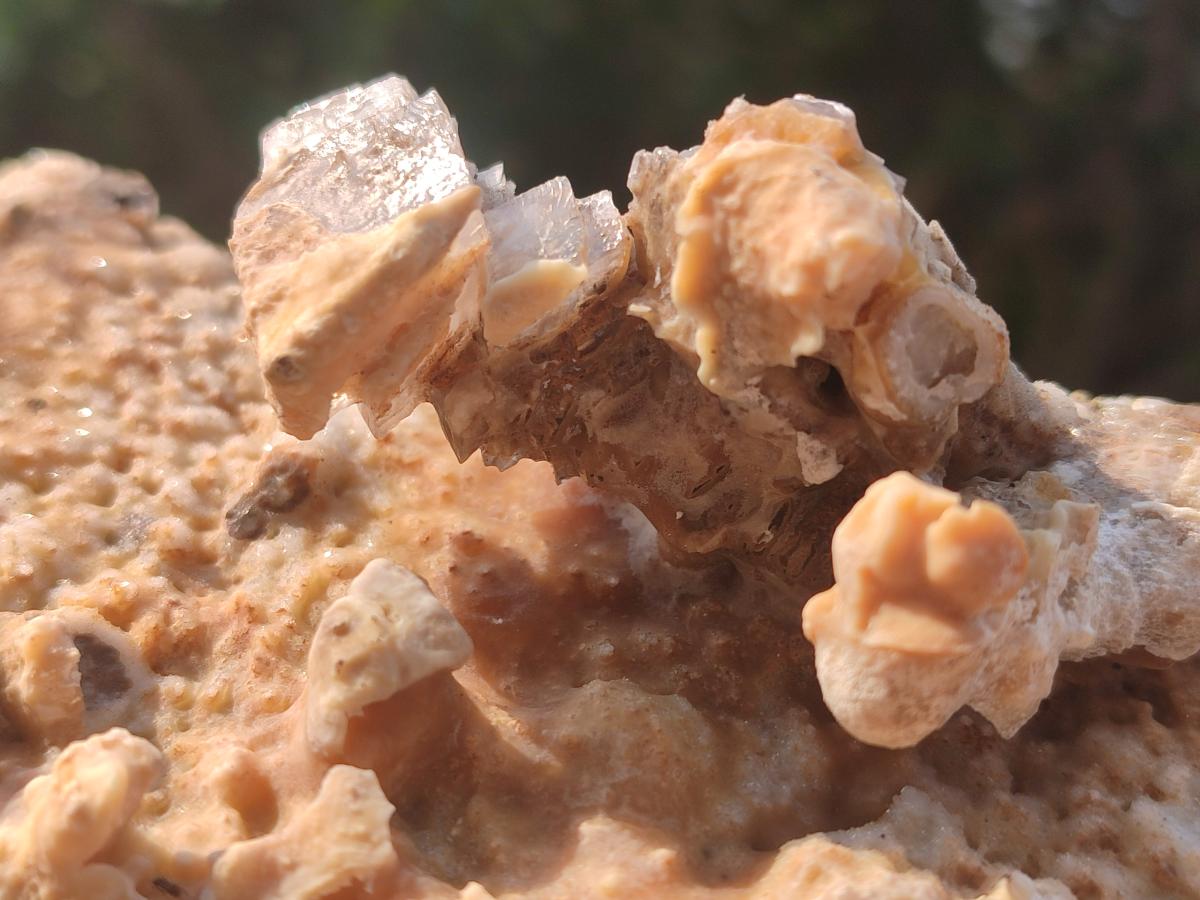 Natural Large Semi-Sceptre Spearhead Calcite Crystal Specimen with Yellow Aragonite Coating x 1 From Albert's Mountain, Lesotho - Toprock Gemstones and Minerals 