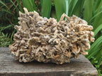 Natural Large Semi-Sceptre Spearhead Calcite Crystal Specimen with Yellow Aragonite Coating x 1 From Albert's Mountain, Lesotho - Toprock Gemstones and Minerals 