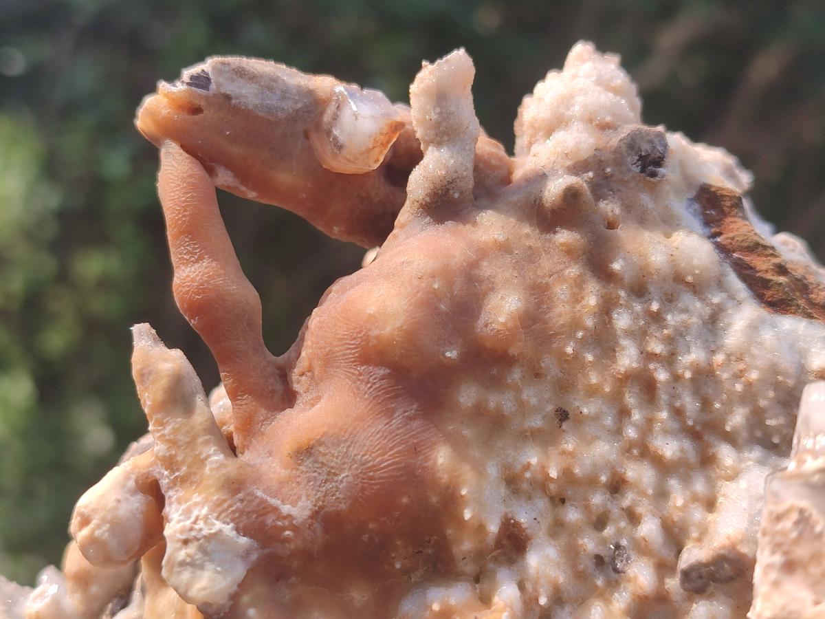 Natural Large Semi-Sceptre Spearhead Calcite Crystal Specimen with Yellow Aragonite Coating x 1 From Albert's Mountain, Lesotho - Toprock Gemstones and Minerals 