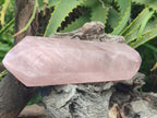 Polished Double Terminated Gemmy Rose Quartz Crystals x 3 From Madagascar - Toprock Gemstones and Minerals 
