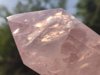 Polished Double Terminated Gemmy Rose Quartz Crystals x 3 From Madagascar - Toprock Gemstones and Minerals 