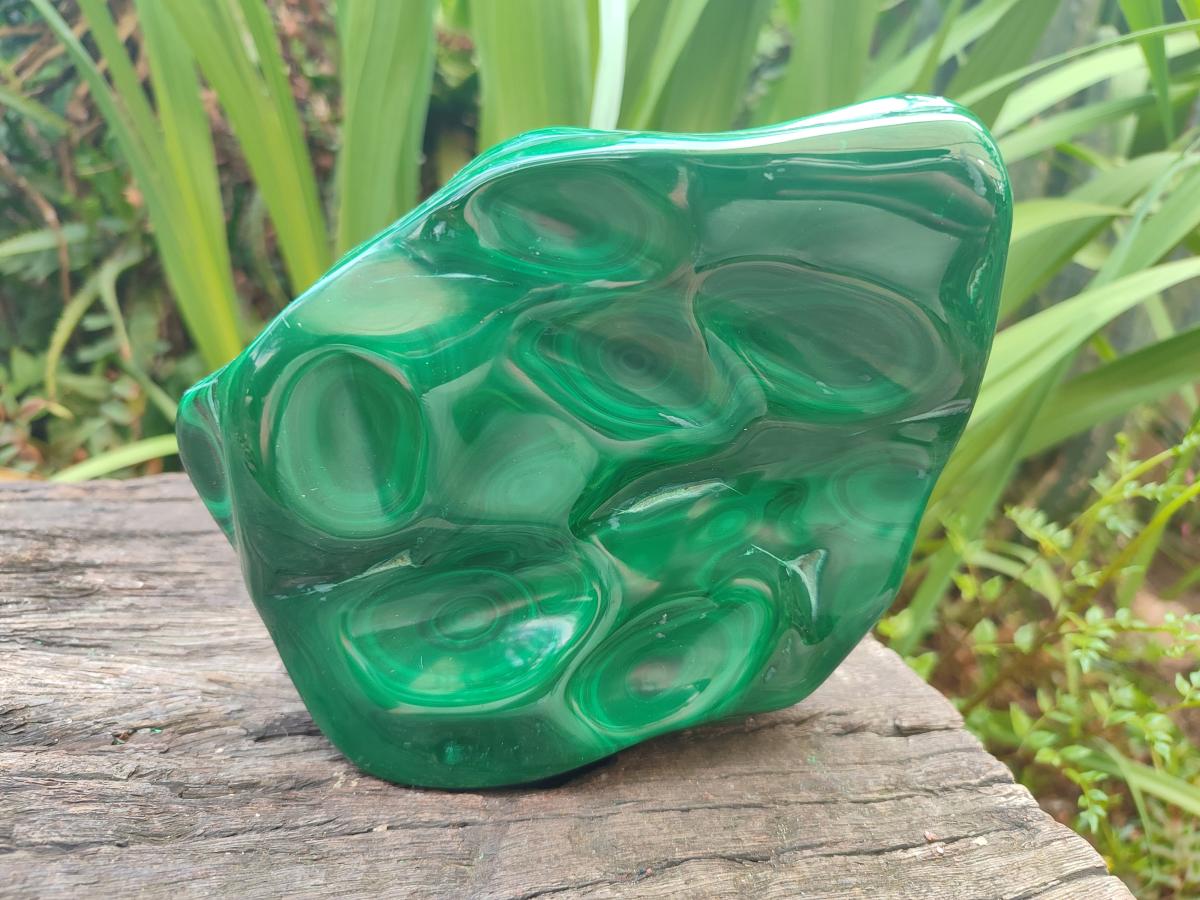 Polished Large Flower Banded Malachite Free Form x 1 From Congo - Toprock Gemstones and Minerals 