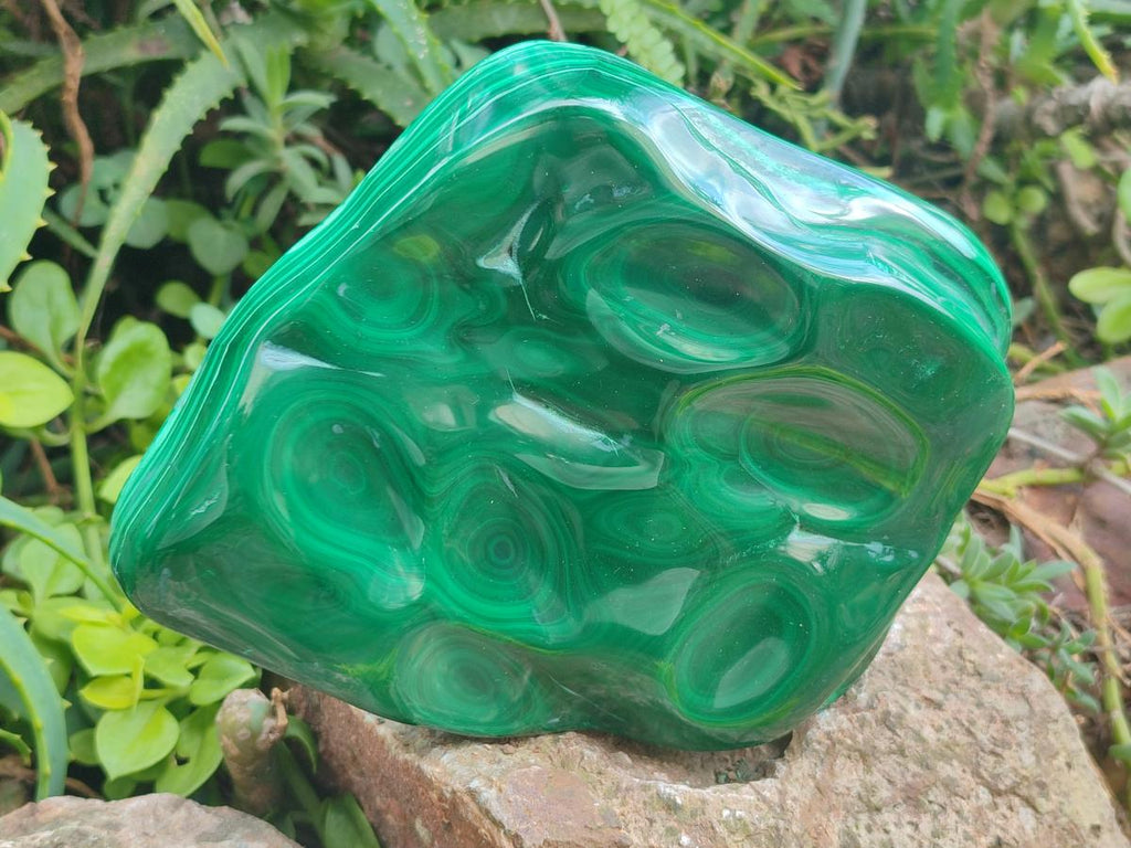 Polished Large Flower Banded Malachite Free Form x 1 From Congo - Toprock Gemstones and Minerals 