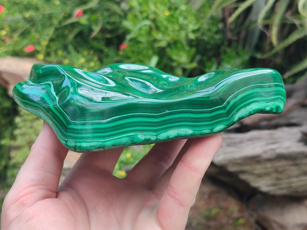 Polished Large Flower Banded Malachite Free Form x 1 From Congo - Toprock Gemstones and Minerals 