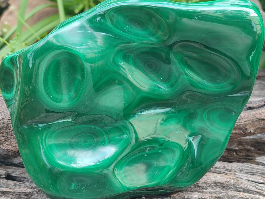 Polished Large Flower Banded Malachite Free Form x 1 From Congo - Toprock Gemstones and Minerals 