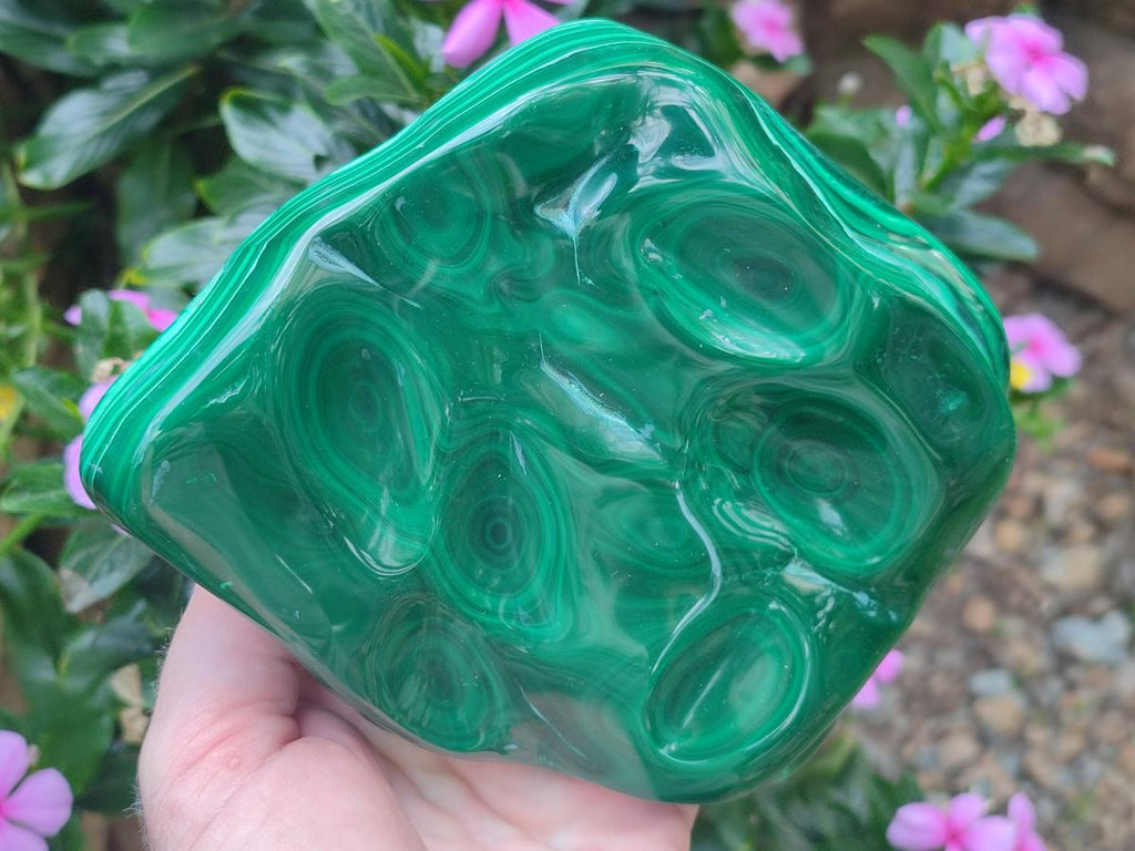 Polished Large Flower Banded Malachite Free Form x 1 From Congo - Toprock Gemstones and Minerals 
