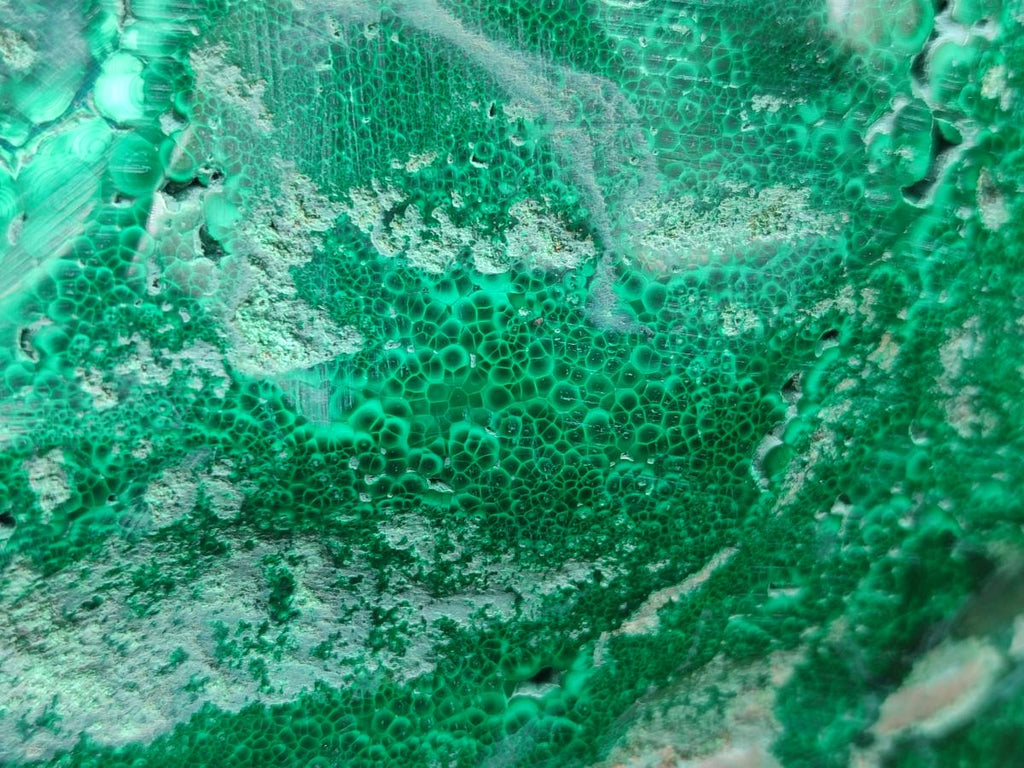 Polished Large Flower Banded Malachite Free Form x 1 From Congo - Toprock Gemstones and Minerals 