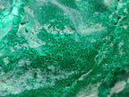 Polished Large Flower Banded Malachite Free Form x 1 From Congo - Toprock Gemstones and Minerals 