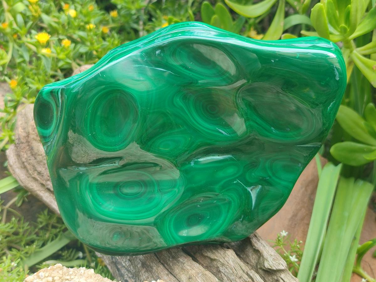 Polished Large Flower Banded Malachite Free Form x 1 From Congo - Toprock Gemstones and Minerals 