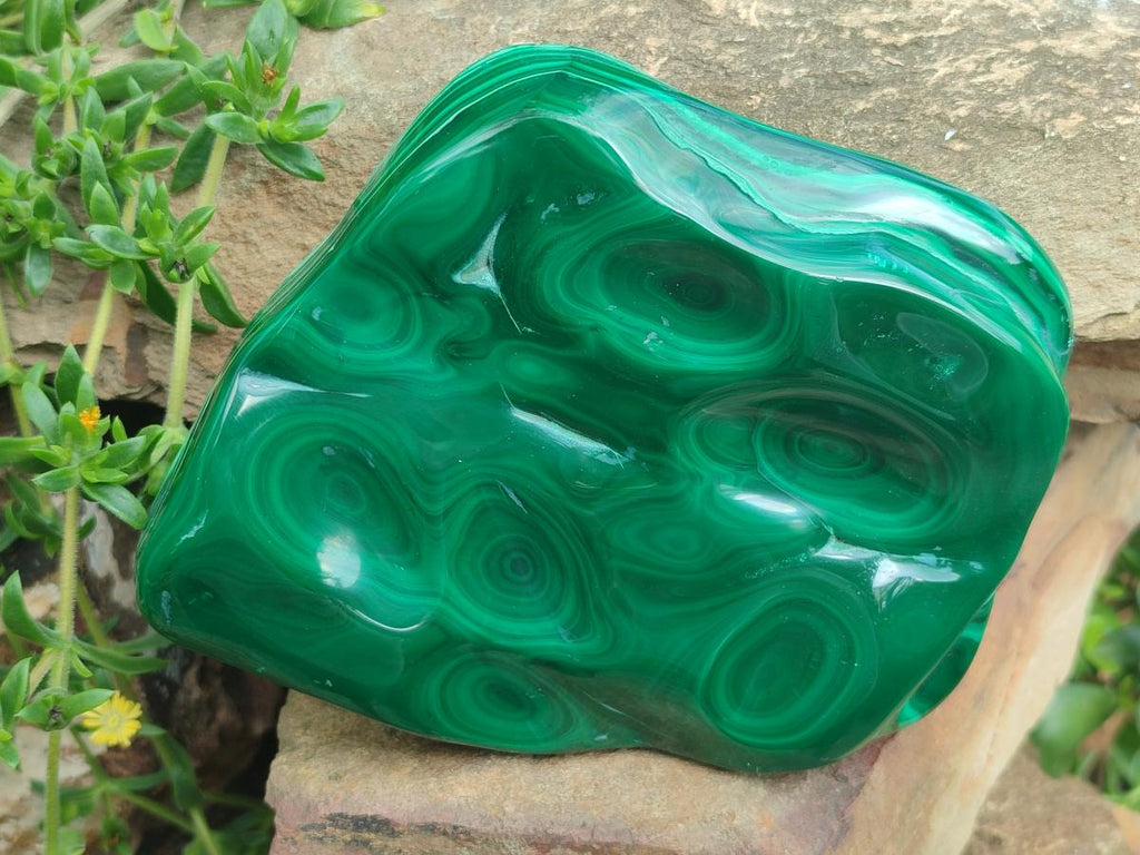 Polished Large Flower Banded Malachite Free Form x 1 From Congo - Toprock Gemstones and Minerals 