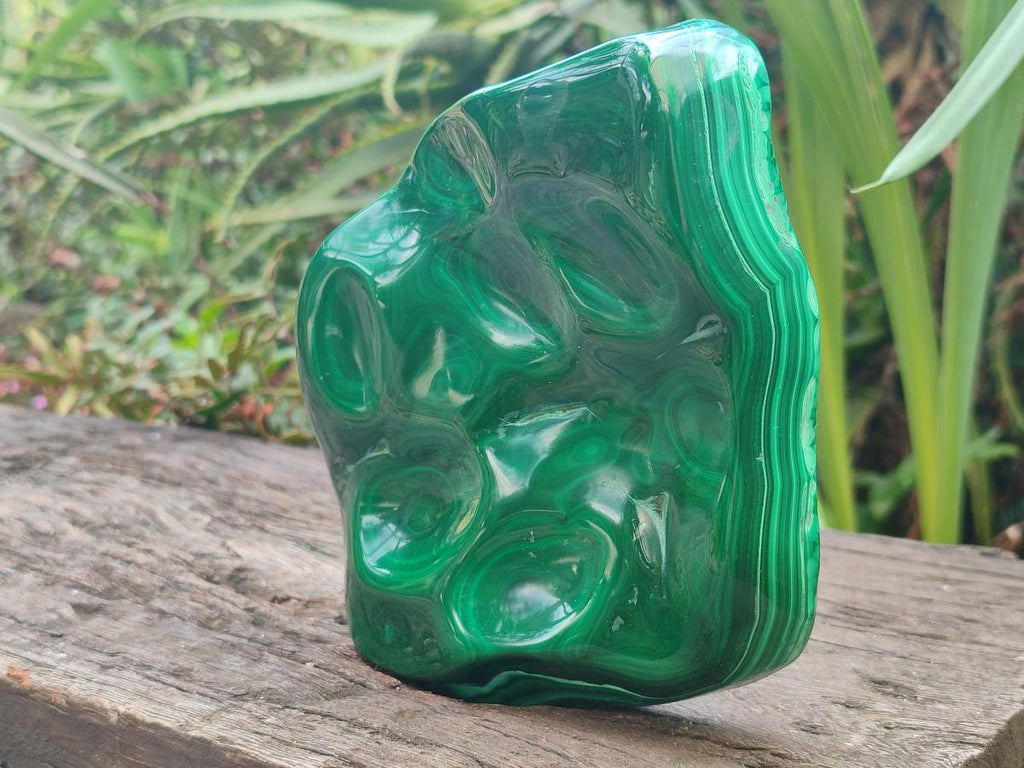 Polished Large Flower Banded Malachite Free Form x 1 From Congo - Toprock Gemstones and Minerals 
