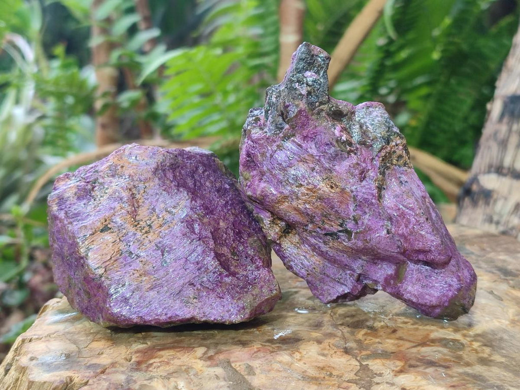 Natural Cobbed Stichtite Specimens x 24 From Barberton, South Africa