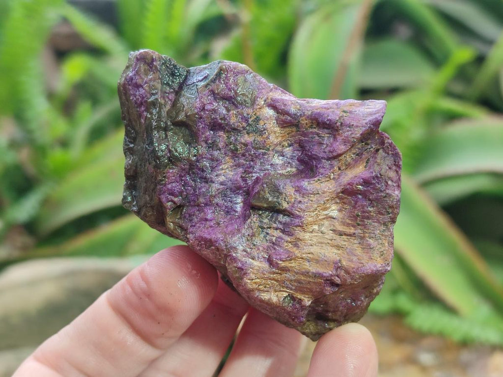 Natural Cobbed Stichtite Specimens x 24 From Barberton, South Africa