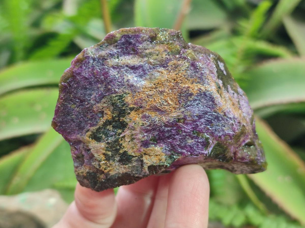 Natural Cobbed Stichtite Specimens x 24 From Barberton, South Africa