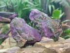 Natural Cobbed Stichtite Specimens x 24 From Barberton, South Africa