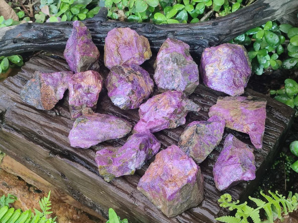 Natural Cobbed Stichtite Specimens x 24 From Barberton, South Africa