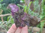 Natural Cobbed Stichtite Specimens x 24 From Barberton, South Africa