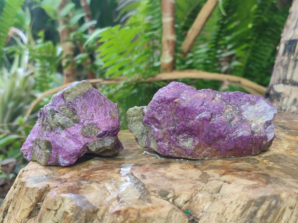 Natural Cobbed Stichtite Specimens x 24 From Barberton, South Africa