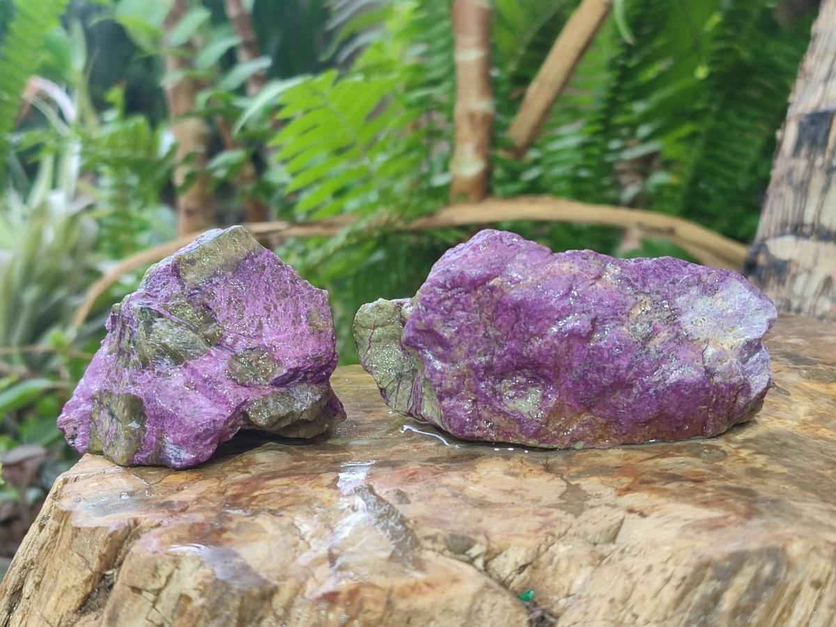 Natural Cobbed Stichtite Specimens x 24 From Barberton, South Africa