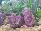 Natural Cobbed Stichtite Specimens x 24 From Barberton, South Africa