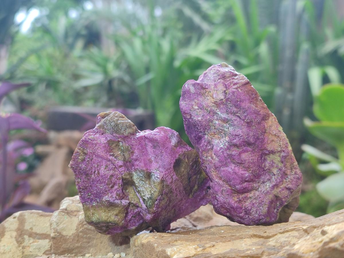 Natural Cobbed Stichtite Specimens x 24 From Barberton, South Africa