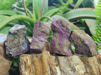 Natural Cobbed Stichtite Specimens x 24 From Barberton, South Africa