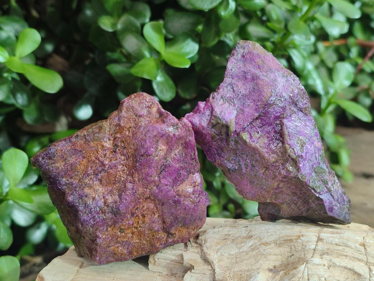 Natural Cobbed Stichtite Specimens x 24 From Barberton, South Africa