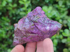 Natural Cobbed Stichtite Specimens x 24 From Barberton, South Africa