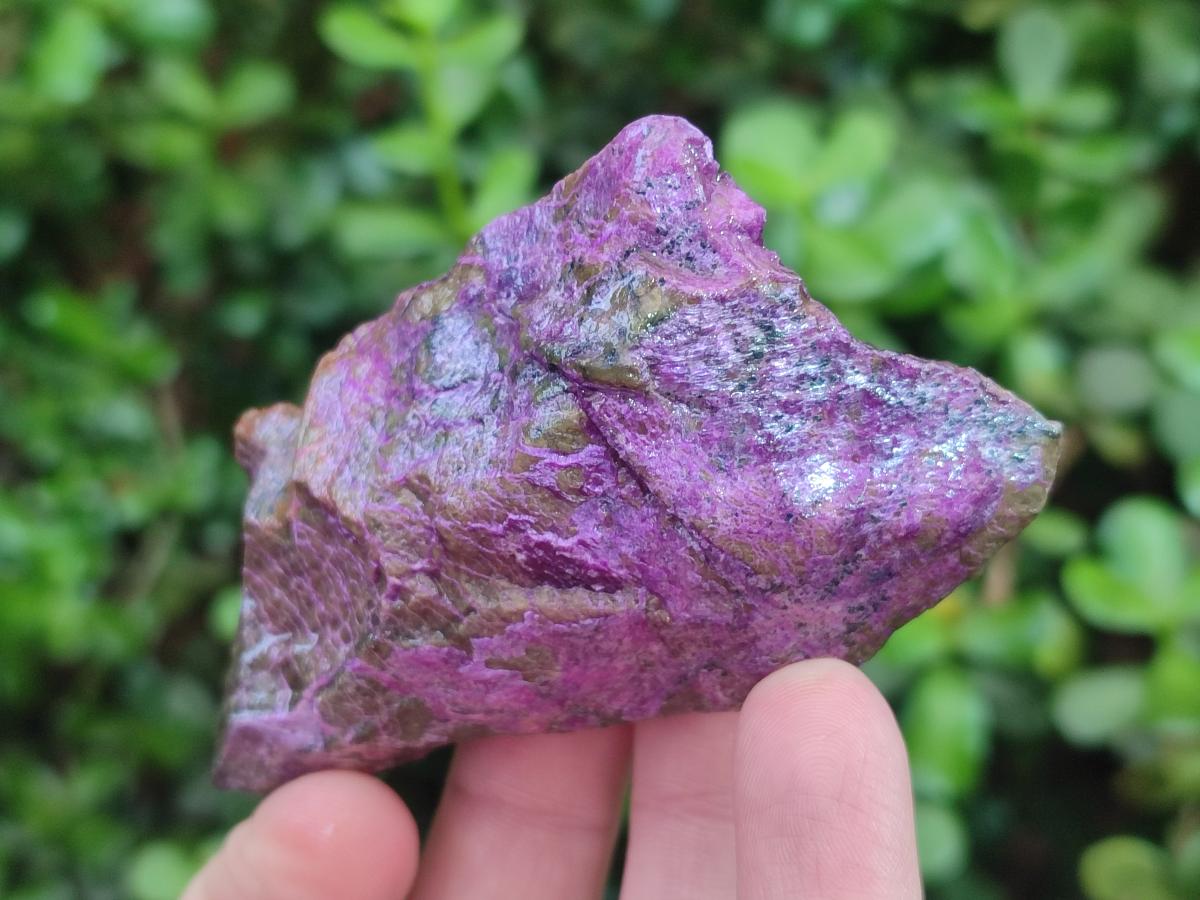 Natural Cobbed Stichtite Specimens x 24 From Barberton, South Africa