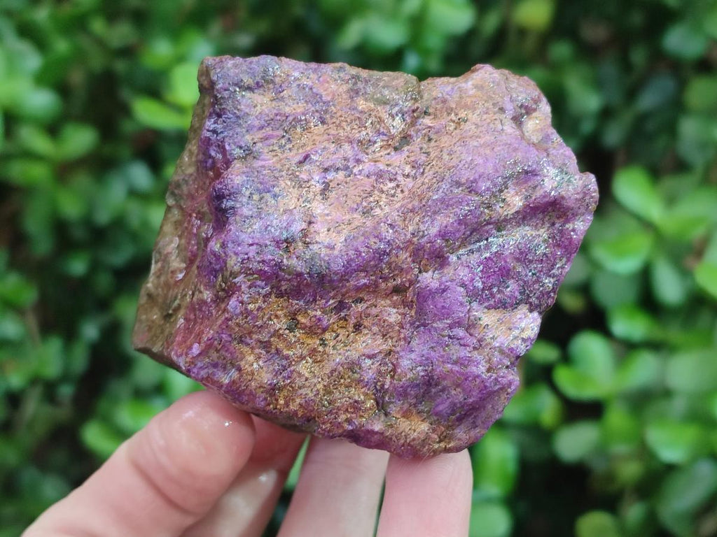 Natural Cobbed Stichtite Specimens x 24 From Barberton, South Africa