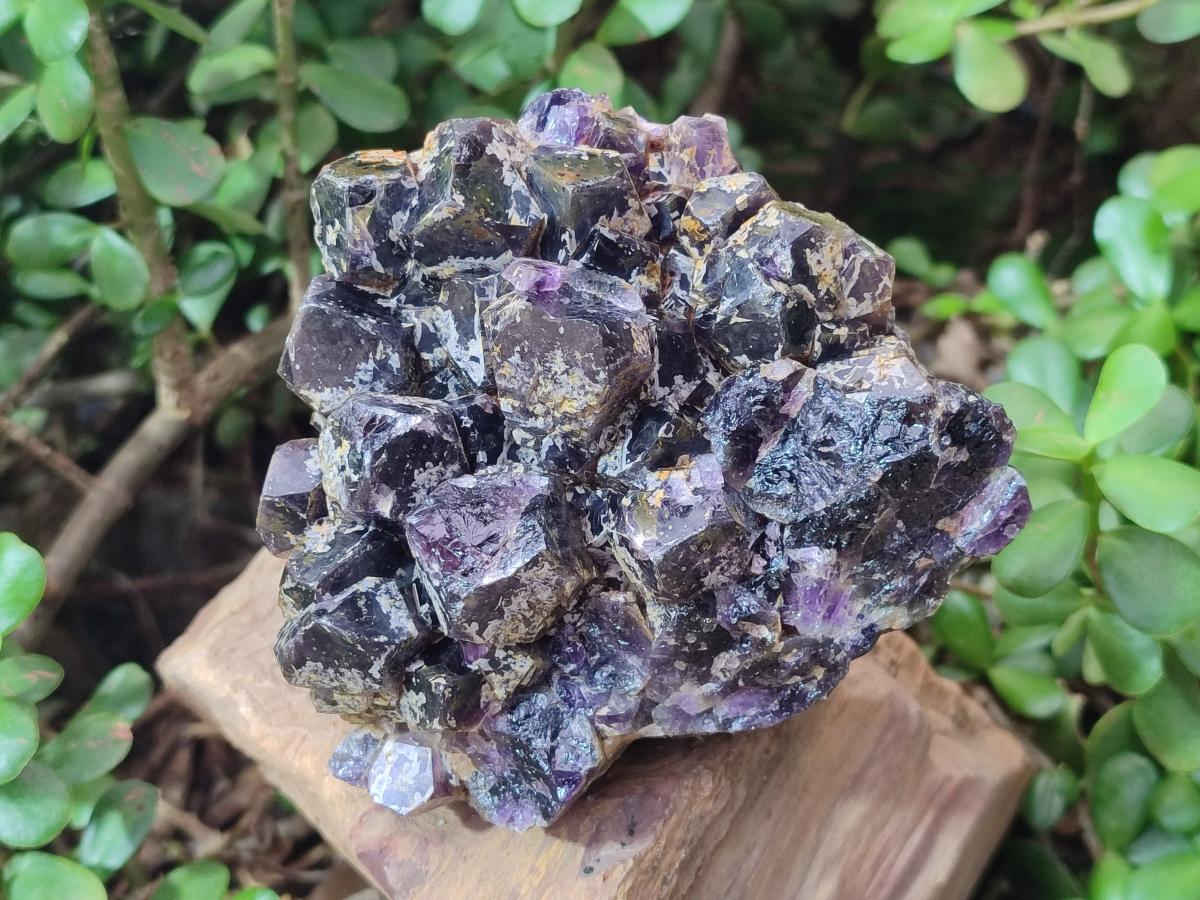 Natural Dark Purple Amethyst Clusters x 6 From Zambia