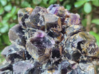 Natural Dark Purple Amethyst Clusters x 6 From Zambia