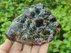 Natural Dark Purple Amethyst Clusters x 6 From Zambia