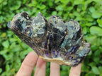 Natural Dark Purple Amethyst Clusters x 6 From Zambia