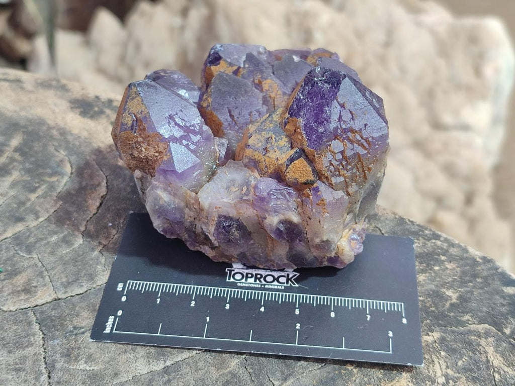 Natural Dark Purple Amethyst Clusters x 6 From Zambia