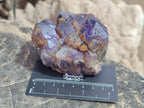 Natural Dark Purple Amethyst Clusters x 6 From Zambia
