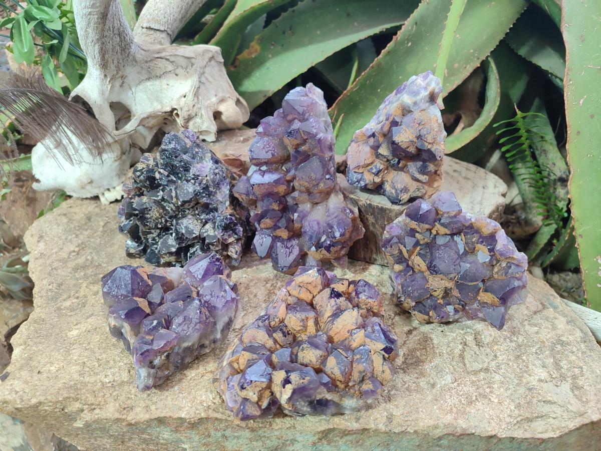 Natural Dark Purple Amethyst Clusters x 6 From Zambia