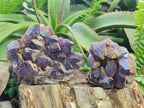 Natural Dark Purple Amethyst Clusters x 6 From Zambia
