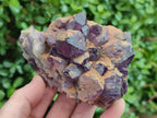 Natural Dark Purple Amethyst Clusters x 6 From Zambia