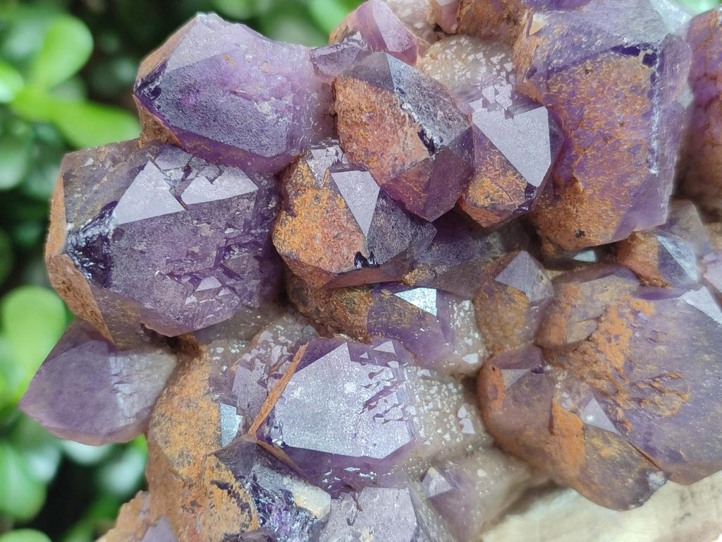 Natural Dark Purple Amethyst Clusters x 6 From Zambia