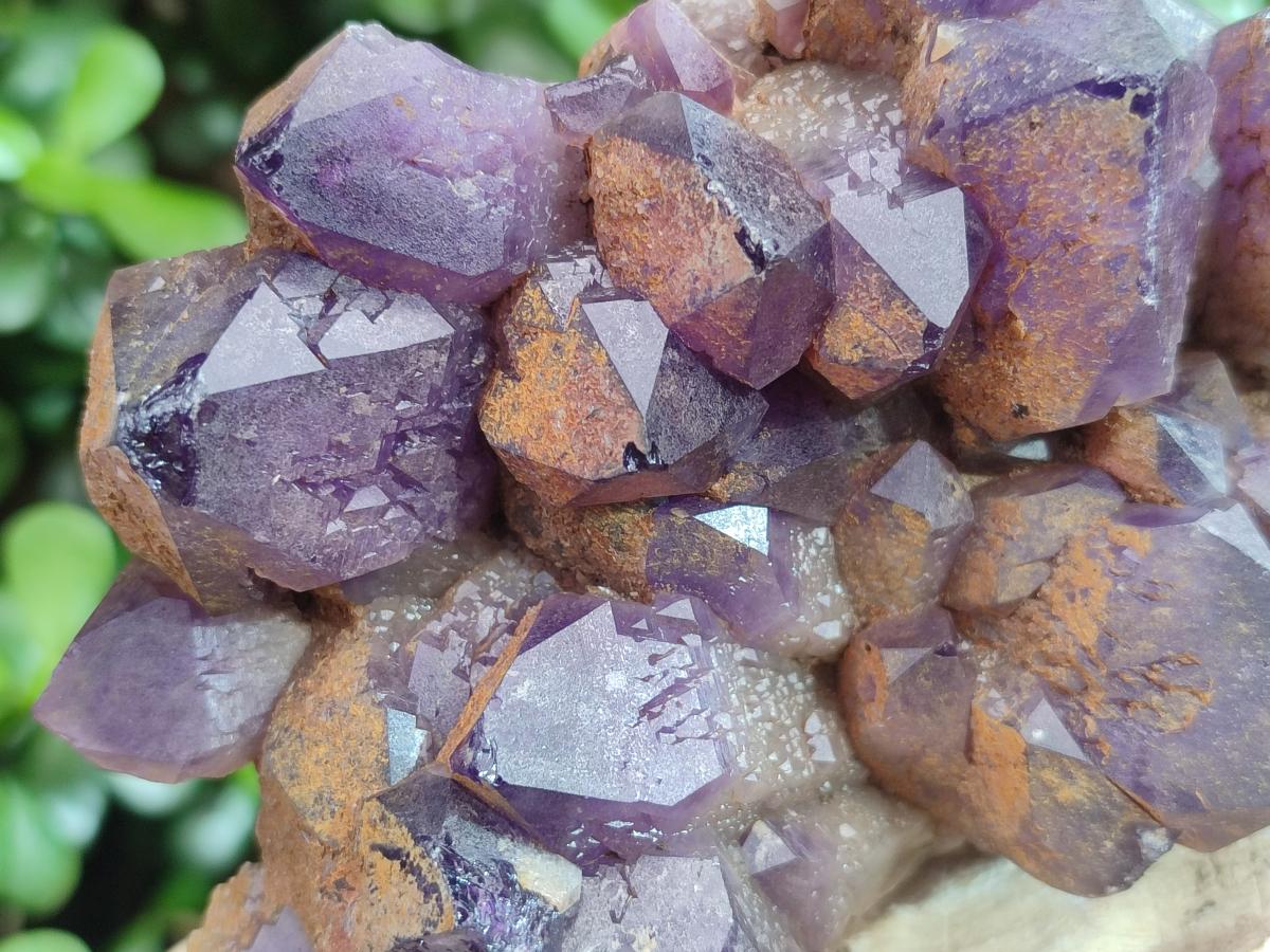 Natural Dark Purple Amethyst Clusters x 6 From Zambia