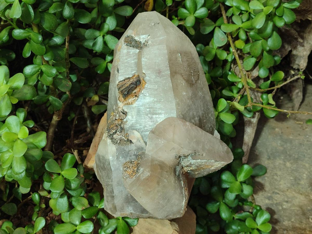 Natural XL Smokey Quartz Crystal with Schorl Black Tourmaline and Boitite Mica x 1 From Erongo, Namibia