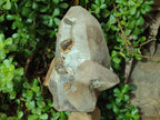 Natural XL Smokey Quartz Crystal with Schorl Black Tourmaline and Boitite Mica x 1 From Erongo, Namibia