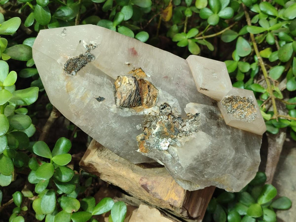 Natural XL Smokey Quartz Crystal with Schorl Black Tourmaline and Boitite Mica x 1 From Erongo, Namibia