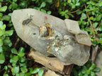 Natural XL Smokey Quartz Crystal with Schorl Black Tourmaline and Boitite Mica x 1 From Erongo, Namibia