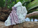 Natural Pink Rubellite Tourmaline Specimens x 4 From Karibib, Namibia