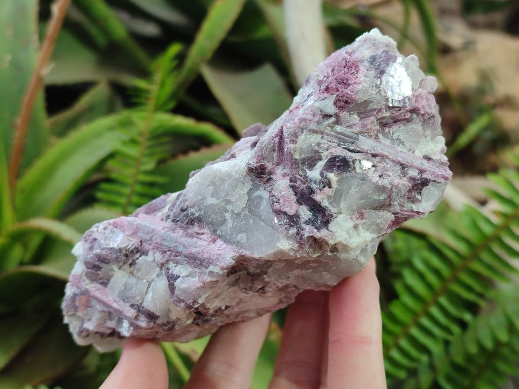 Natural Pink Rubellite Tourmaline Specimens x 4 From Karibib, Namibia