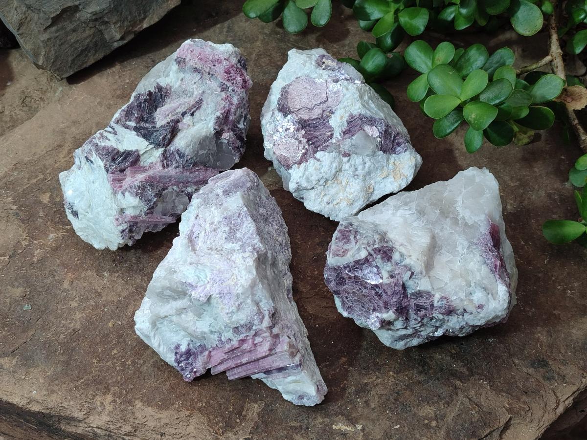 Natural Pink Rubellite Tourmaline Specimens x 4 From Karibib, Namibia